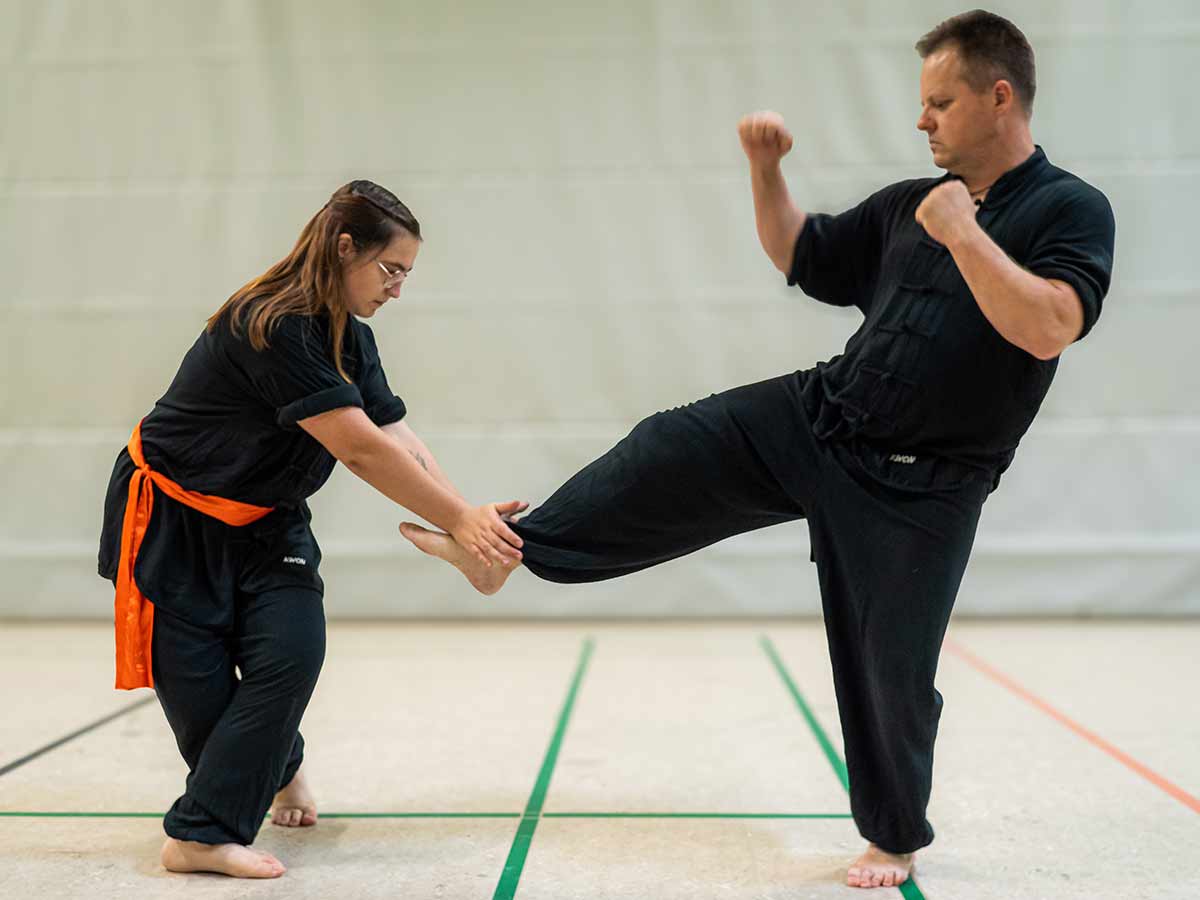 kungfu_gal9
